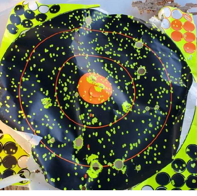 This image has an empty alt attribute; its file name is birdshot.png